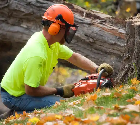 tree services Micro